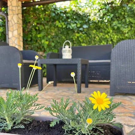Top Apartments Guest house